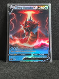 Gyarados Card Fan Art PTL 304