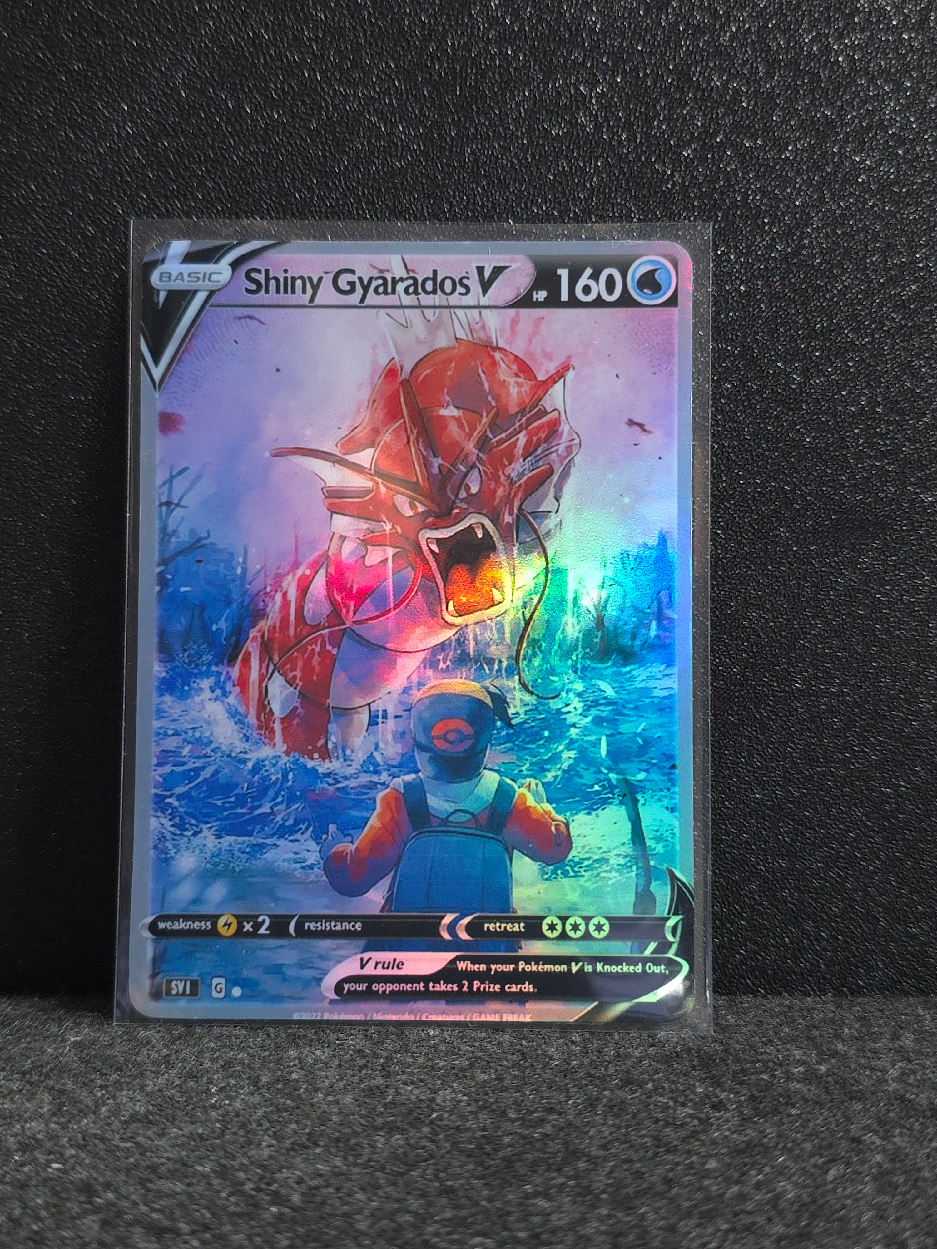 Gyarados Card Fan Art PTL 326