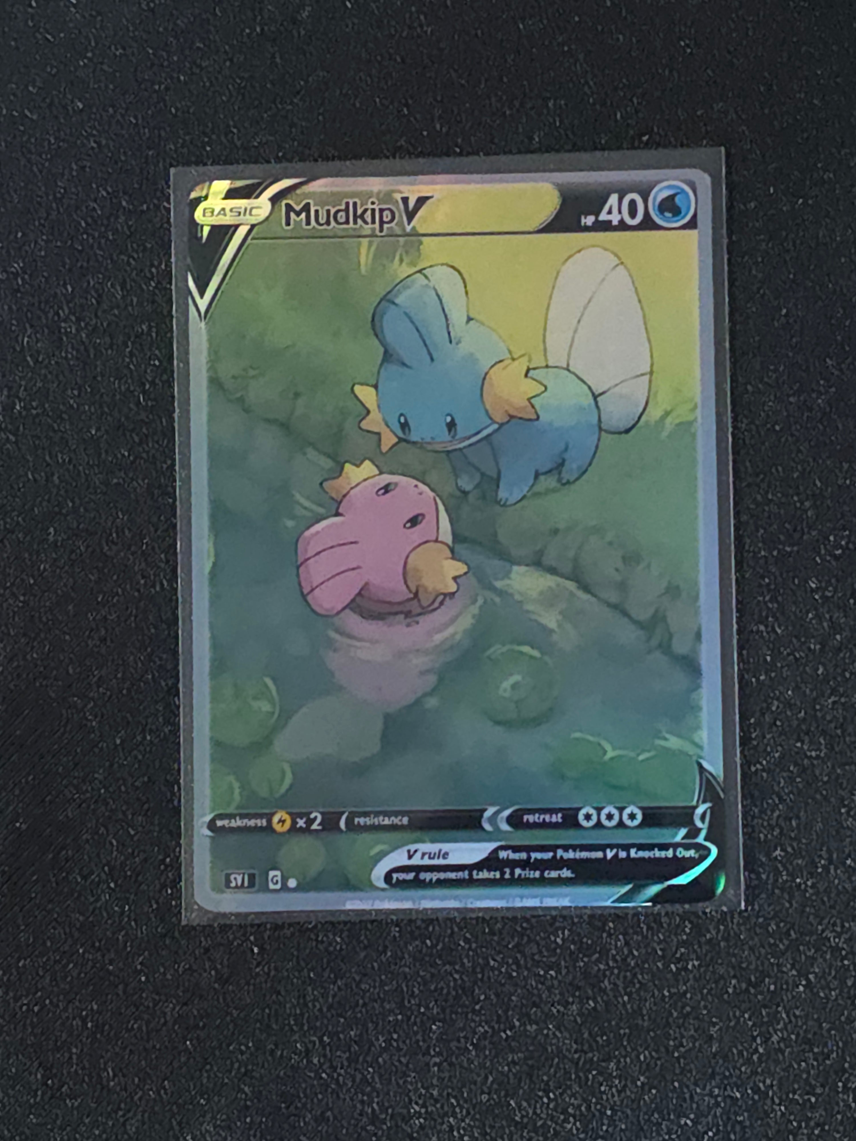 Mudkip Fan Art Pokemon Card PTL 517