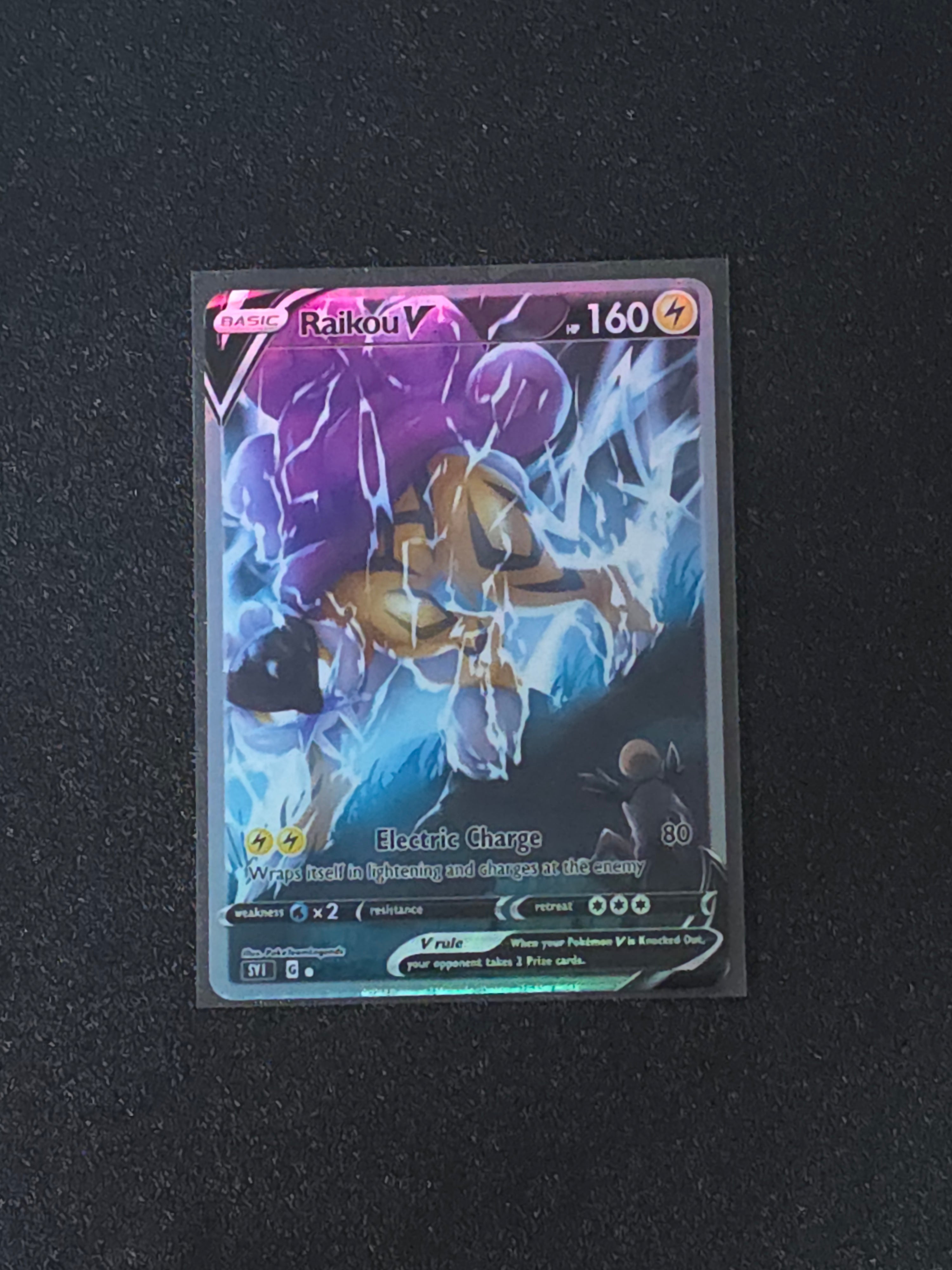 Raikou Fan Art Pokemon Card PTL 567