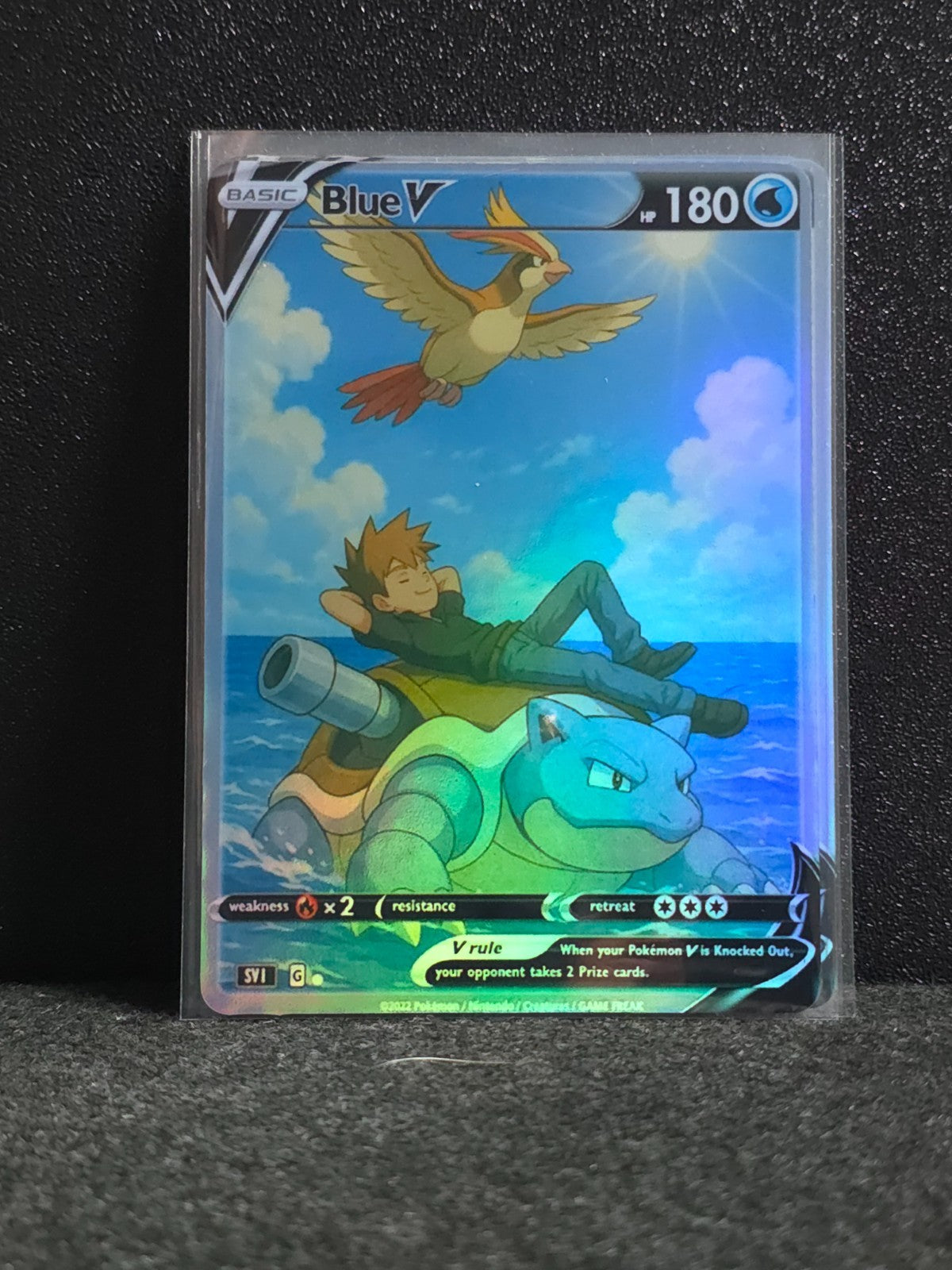 Trainer Blue Blastoise Pidgeot Card *Fan Art** PTL 83