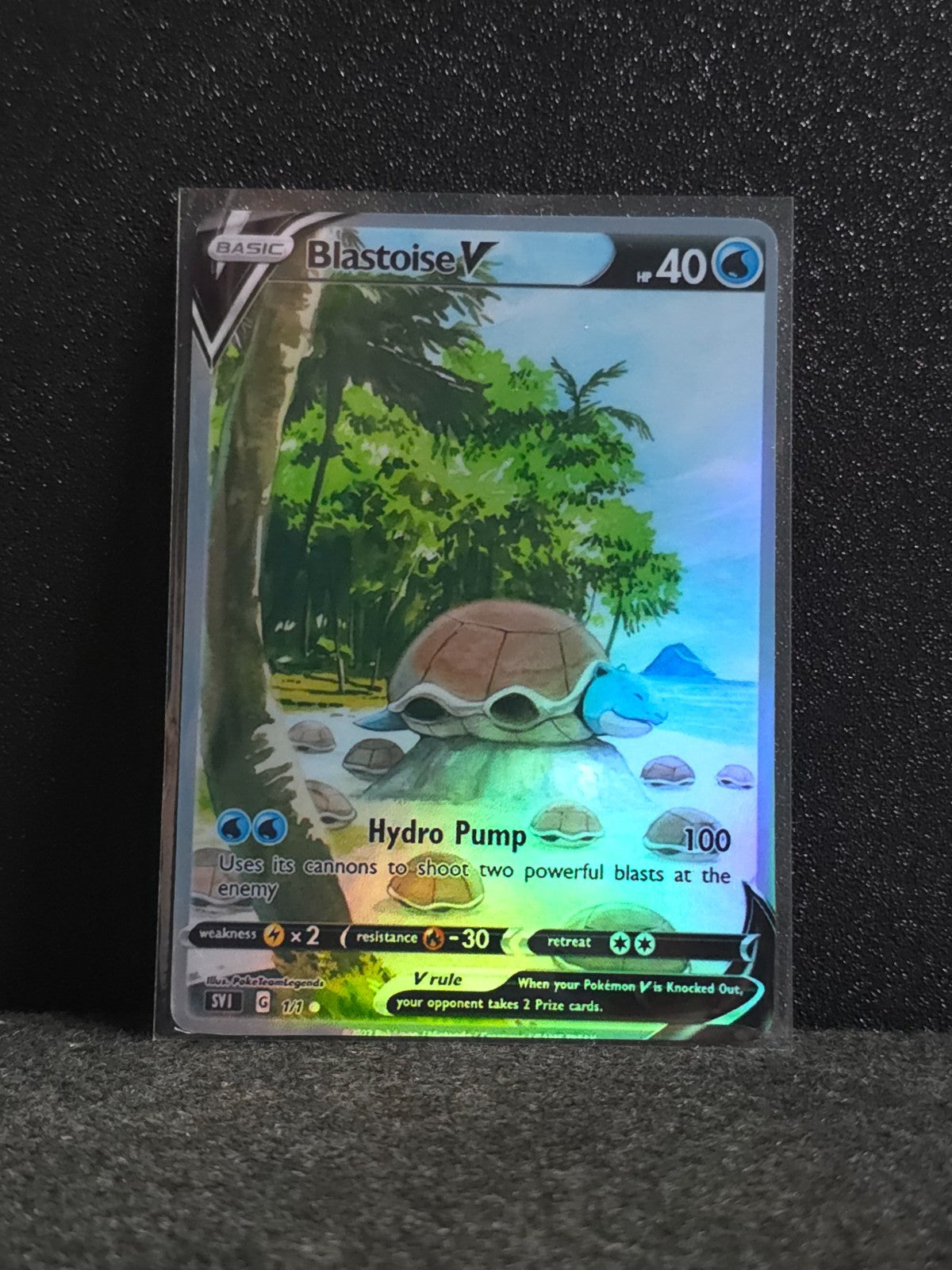 Blastoise Card *Fan Art** PTL 95