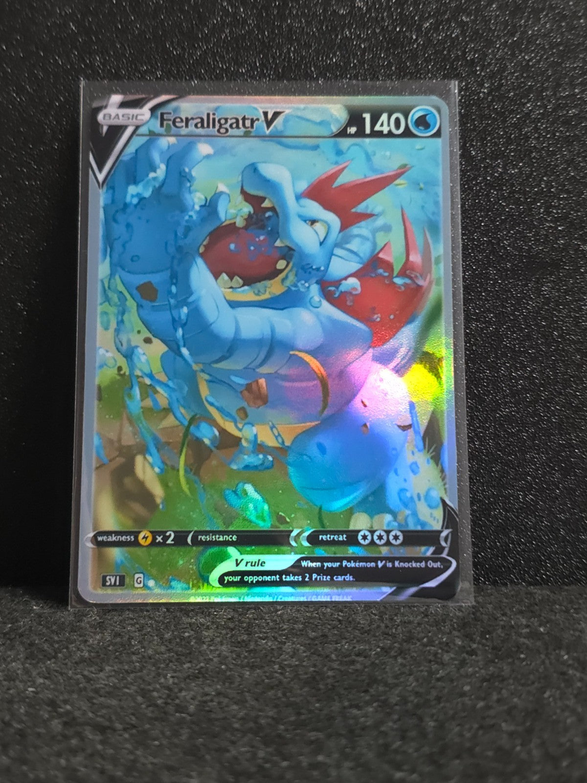 Feraligatr Card *Fan Art** PTL 202