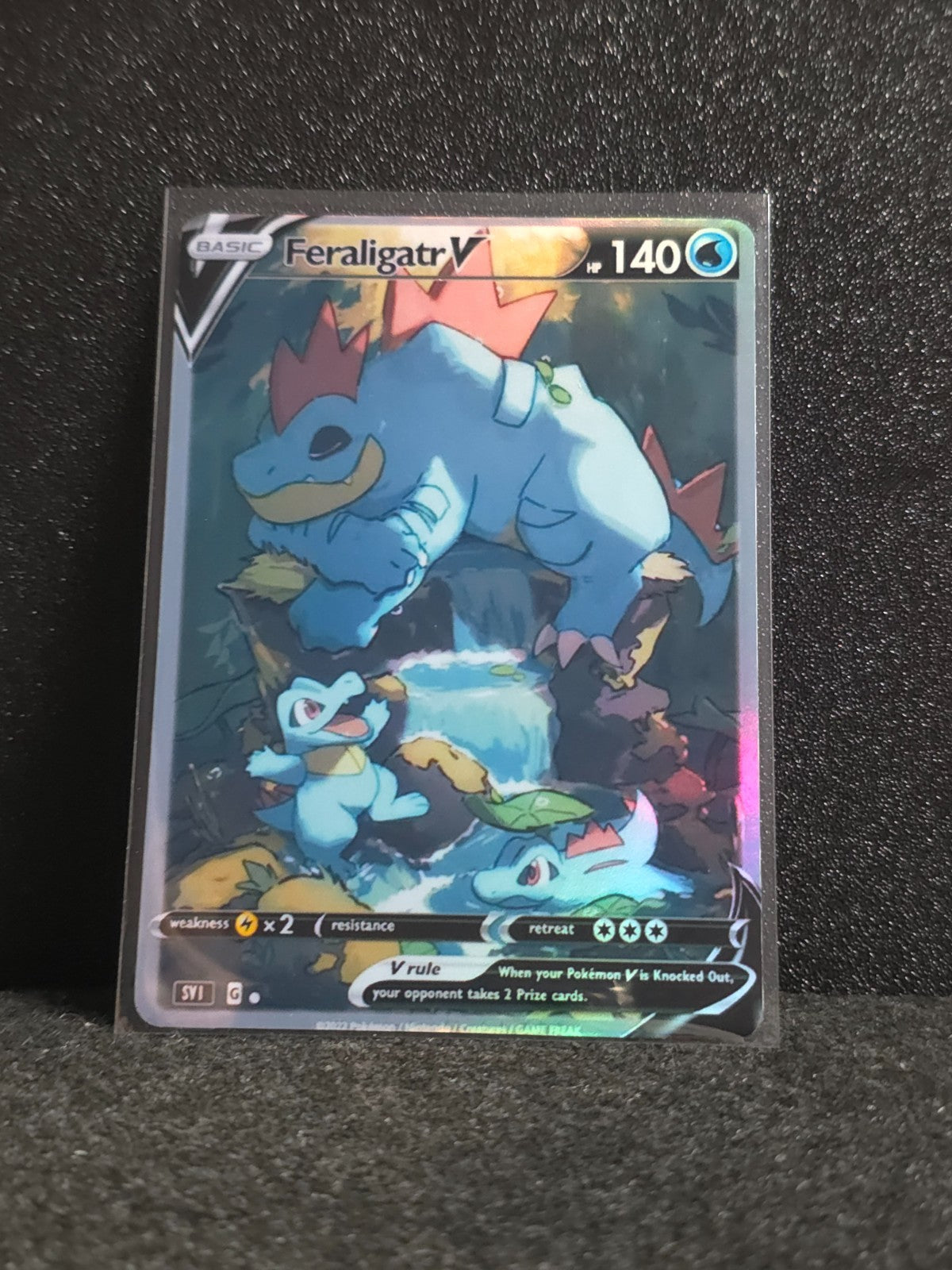 Feraligatr Card *Fan Art** PTL 201
