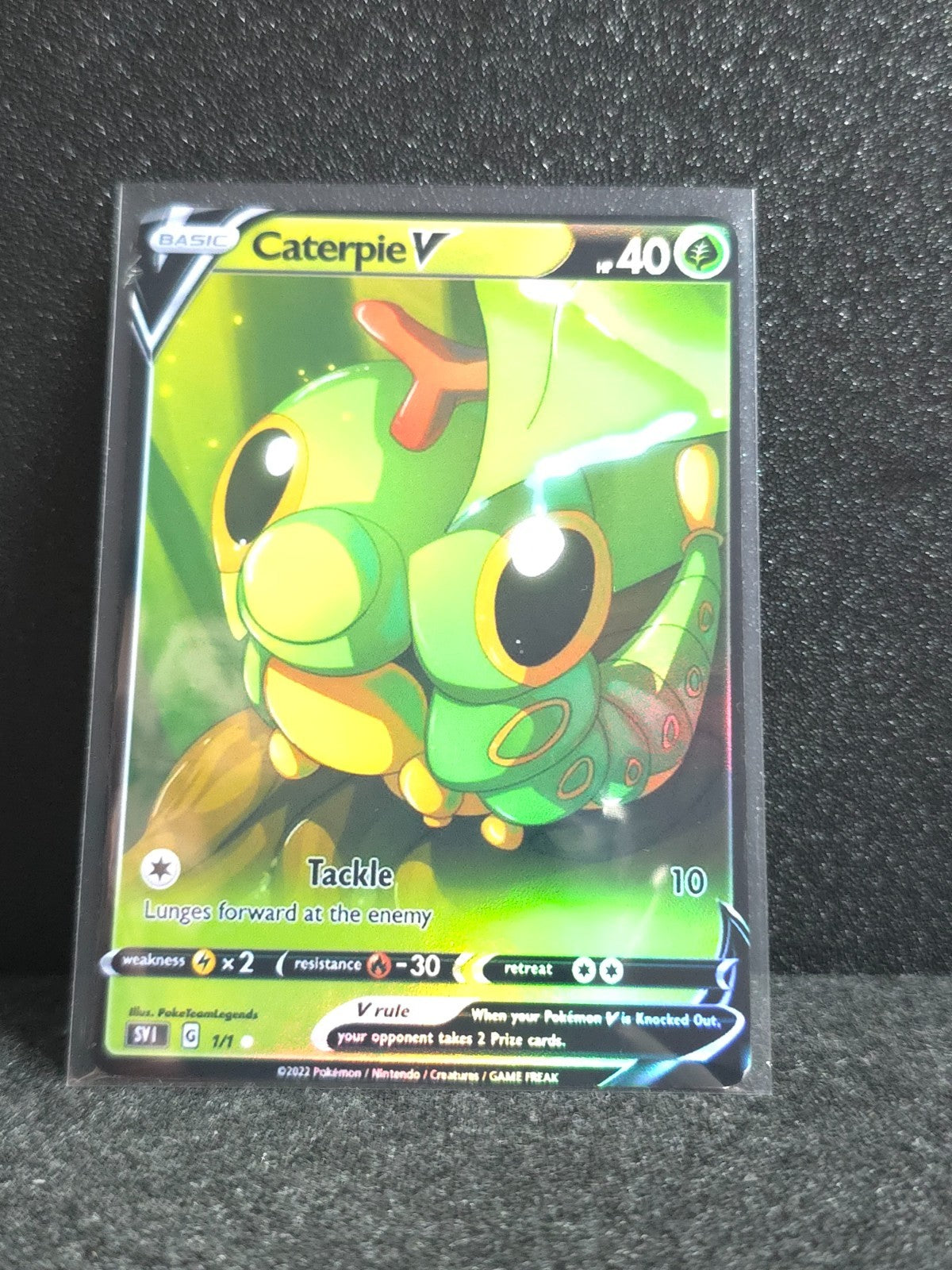 Caterpie Card *Fan Art** PTL c57